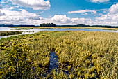 Siikalahti Nature Reserve vicino Parikkala. La zona umida. 